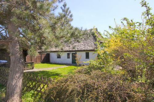 Ferienhaus Storchennest Haus Terrasse, Garten