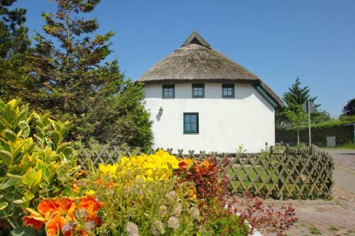 Ferienhaus Storchennest Haus Terrasse, Garten