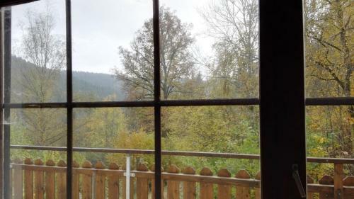 Elf Echte Elfen