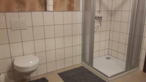 Elf Echte Elfen