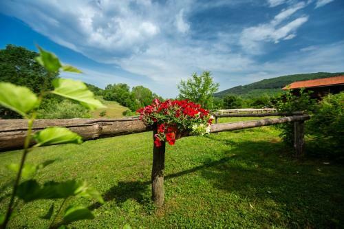 Apartamentos Ranch Jelov Klanac