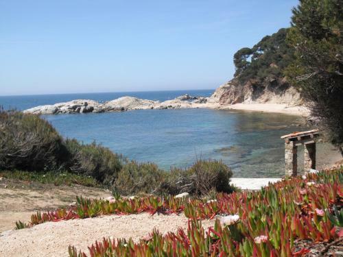 Apartamento Laura La Fosca
