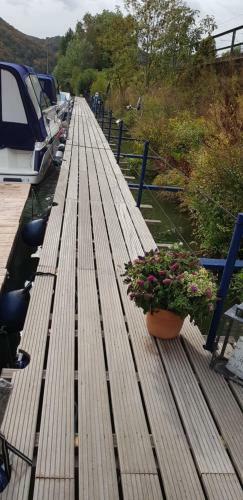 Cafe Sander�s Camping Auf Der Mosel