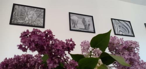 Apartamento Ferienwohnung Wittenberge