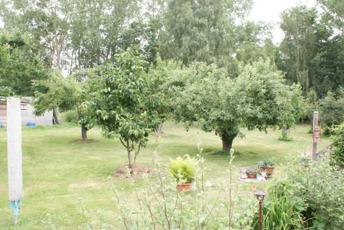 Apartamento Reetdachidylle Mit Terrasse & Balkon - Abc194