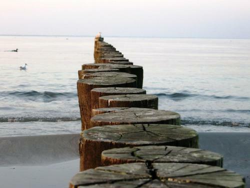 Apartamento Seaside Mit Meerblick & Balkon - Abc315