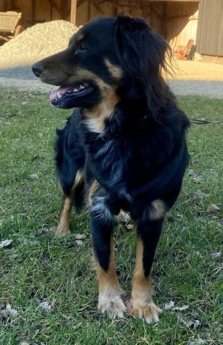 Apartamento Schlafkoje Kleine Wolke