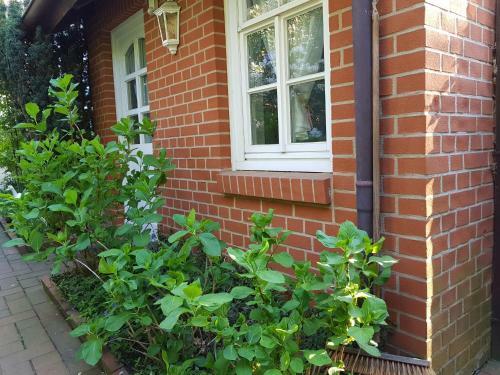 Apartamento G�stewohnung Wasserzucht