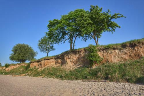 Emilias H�s, Reethaus In Der Bucht Von Wismar