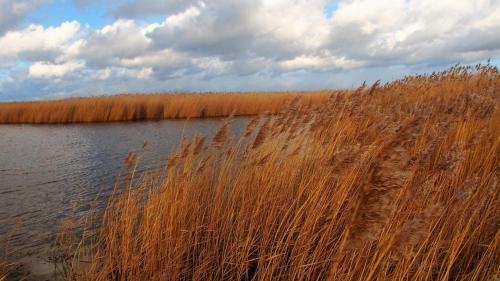 Emilias H�s, Reethaus In Der Bucht Von Wismar