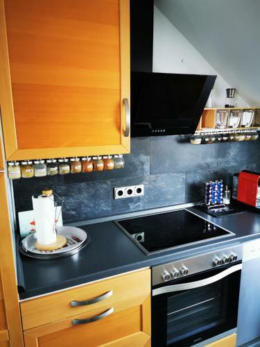 Apartamento Ferienwohnung Sonnenblick In Zirndorf