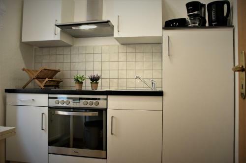 Budget Apartments - Salzhausblick Ferienwohnungen