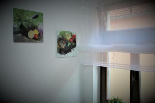 Budget Apartments - Salzhausblick Ferienwohnungen