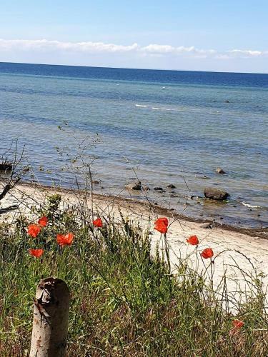 Apartamento Ferienwohnung Storchenblick