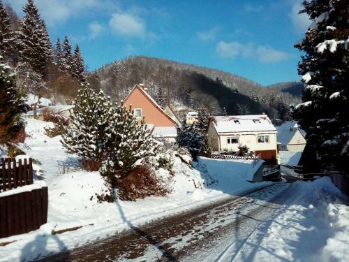 Apartamento Haus " Elfriede "