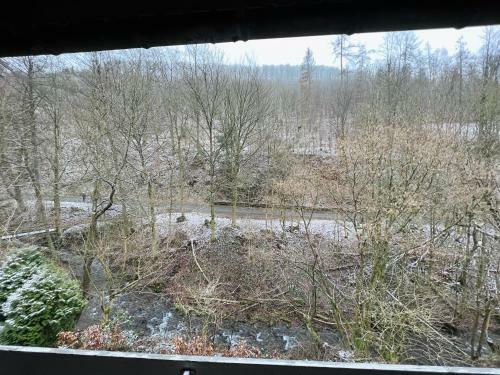 Hostal Vor Lauter B�umen B&B