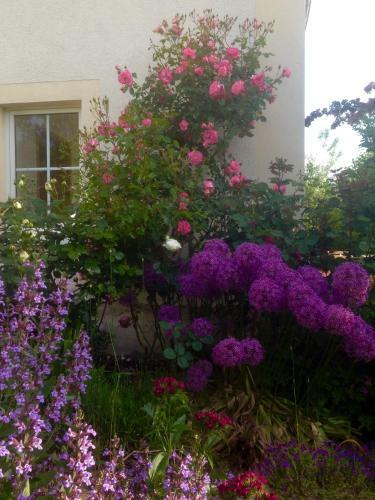 Apartamento Ferienwohnung Zweinig 01
