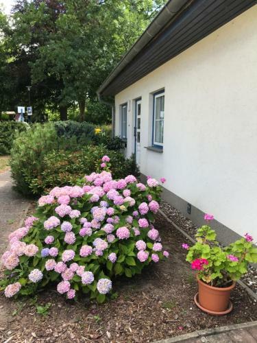 Ostsee Apartments Salzhaff