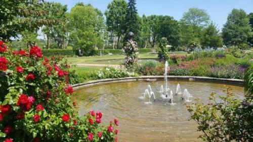 Apartamento Rosen Und Rosse