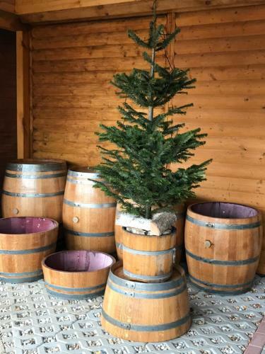 Wellness H�tte Am Zwenkauer See Bei Leipzig