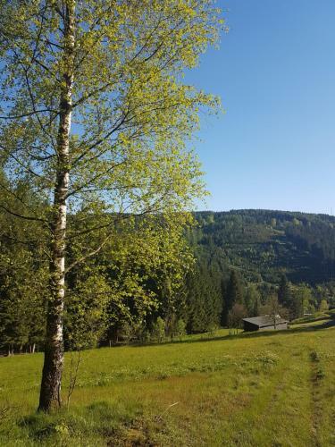 Apartamento Ferienwohnung Wegespinne