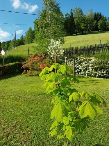 Apartamento Ferienwohnung Wegespinne