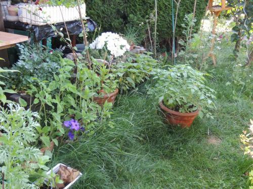Apartamento Fw Zauberblick