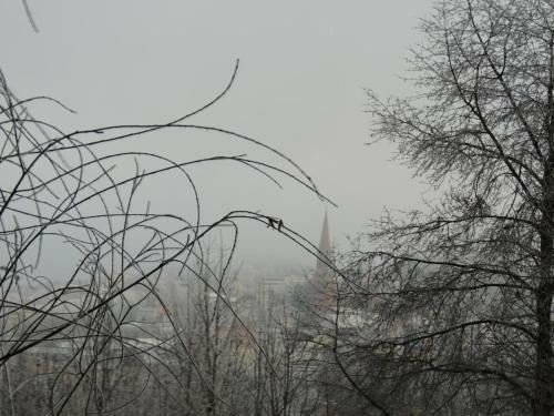 Apartamento Fw Zauberblick