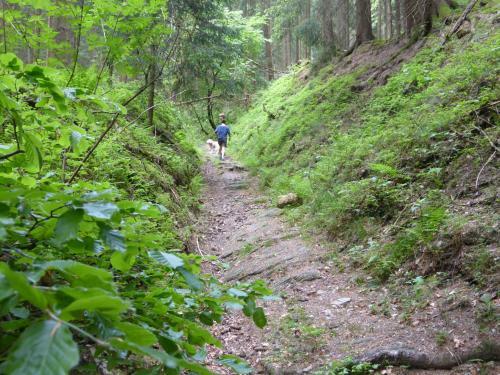 Apartamento K�ken Winterberg