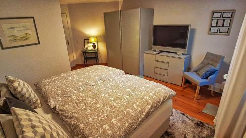 Apartamento Villa Meisterstein