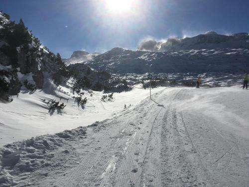 Hostal Gasthof Pension Gr�ner Anger