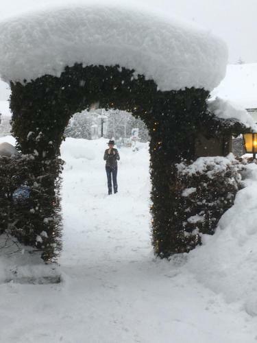 Hostal Gasthof Pension Gr�ner Anger