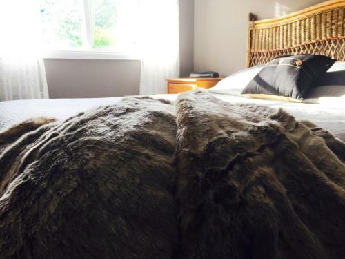 Agroturismo Gracefield Cottage