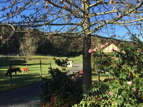 Agroturismo Gracefield Cottage