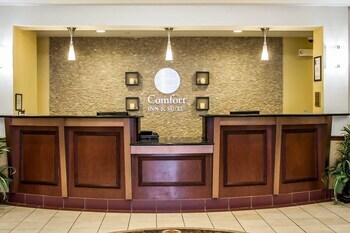 Hotel Comfort Inn & Suites Kent