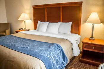 Hotel Comfort Inn & Suites Kent