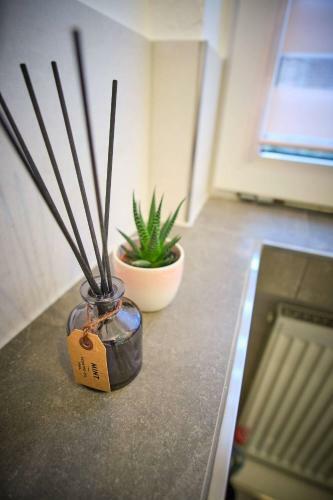 Apartamento Ferienwohnung Eschenberg