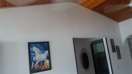 Casa Vacacional En Flandes Tolima