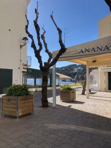 Apartamento Apto En 1ra L�nea Carrer Les Voltes Parking Gr�tis