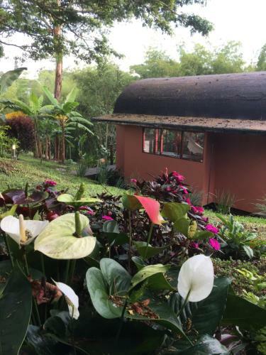 Villa Caba�a Quimbaya