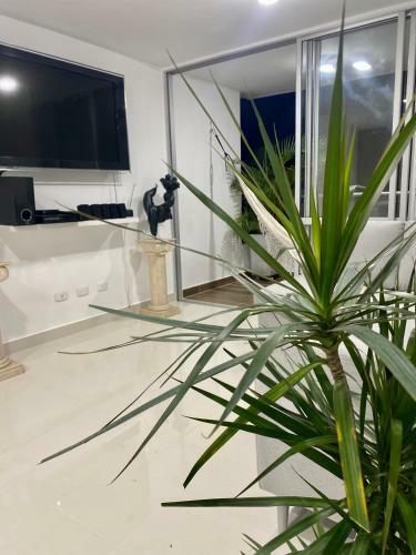Apartamento Ricaurte