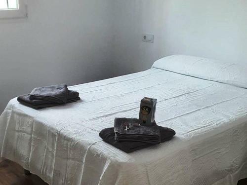 Apartamentos Con Piscina Privada