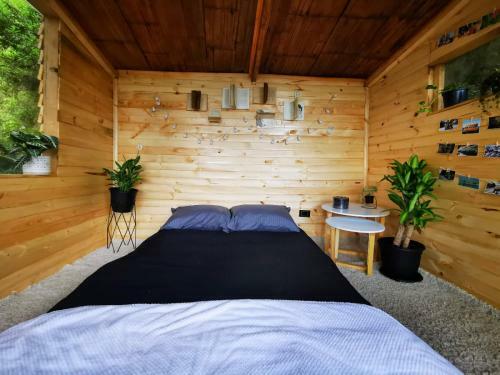 Casa En El �rbol Glamping Urantia