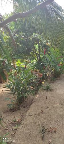 Agroturismo Casa Tikua
