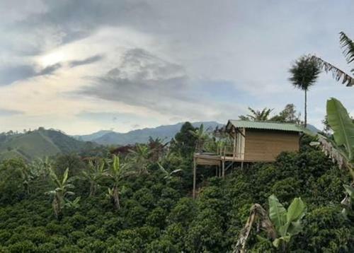 Glamping Jeric�