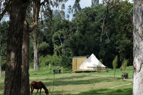 La Victoria Glamping