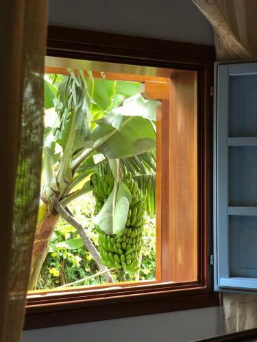 Apartamento Caser�o De La Playa - Adults Only