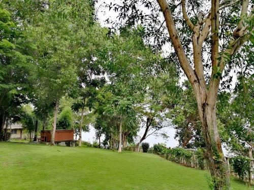 Hotel Bohol-lahoy Dive And Beach Resort
