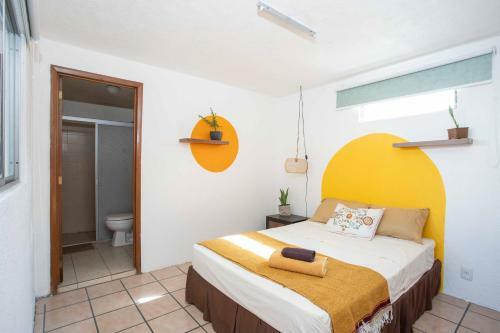 Hostal La Paz & Love Guadalajara