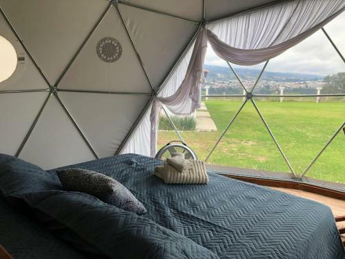Mantra Glamping